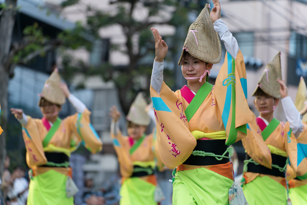 第64回 東京高円寺阿波おどり