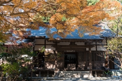 秋の円覚寺