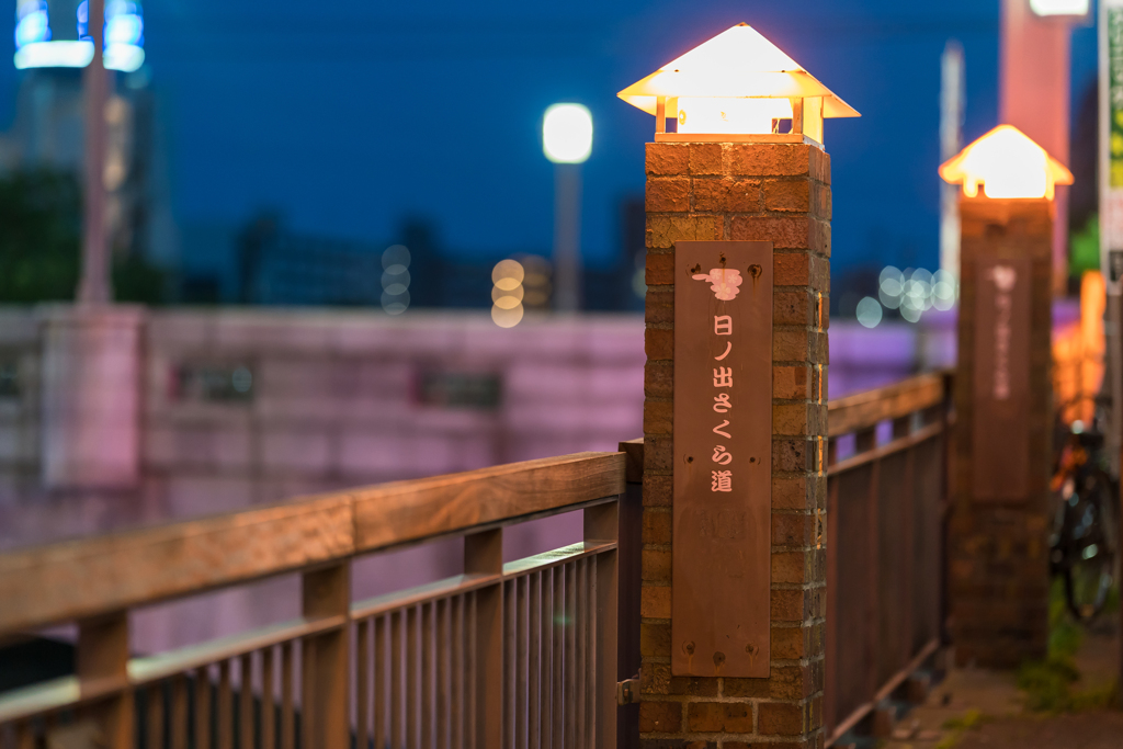 野毛飲み屋街スナップ