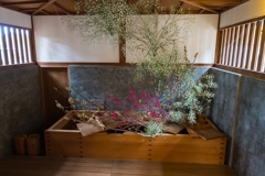 旧伊藤博文金沢別邸の春