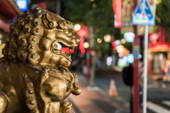 横浜中華街スナップ