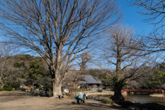 金沢文庫　称名寺