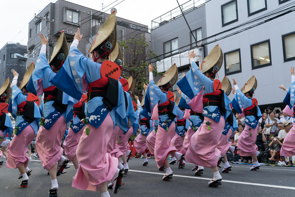 第64回 東京高円寺阿波おどり