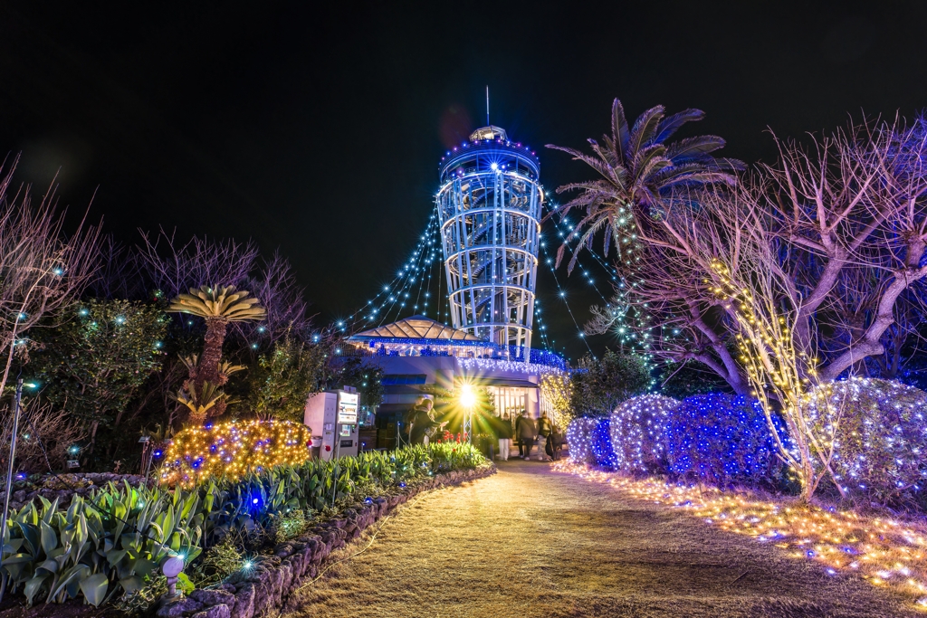 湘南の宝石 2024