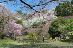 最明寺史跡公園