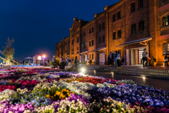 赤レンガ倉庫　フラワーガーデン