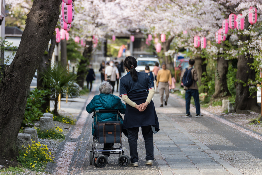 2023年　春の称名寺