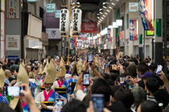 第65回 東京高円寺阿波おどり