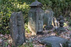 金沢文庫　称名寺