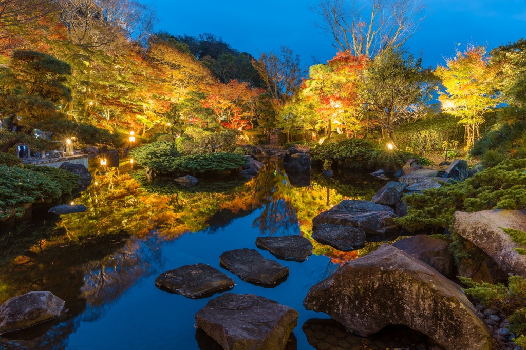 大磯城山公園　紅葉ライトアップ2023