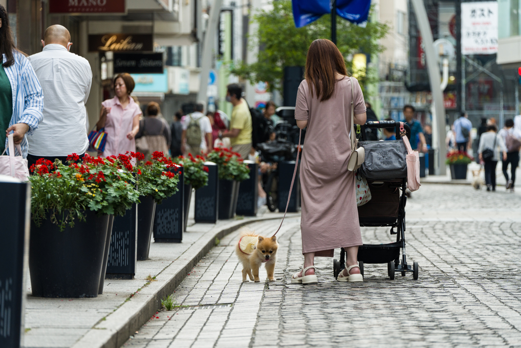 元町商店街スナップ