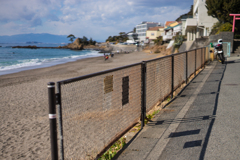 秋谷海岸スナップ