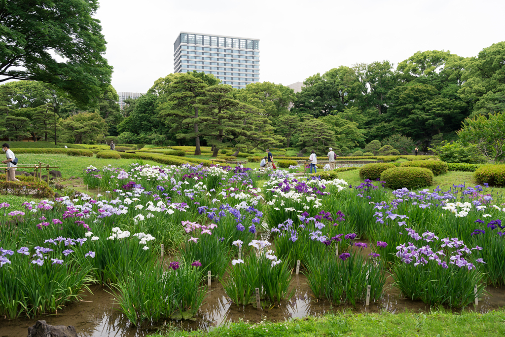 皇居　二の丸庭園