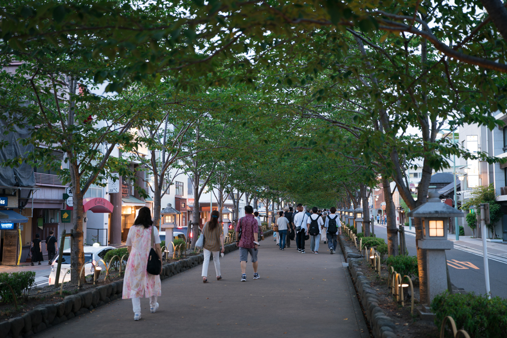 鎌倉八幡宮　参道