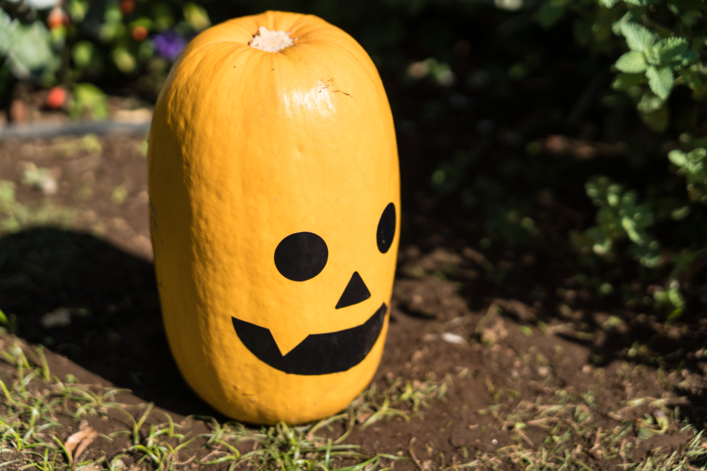 港の見える丘公園 スナップ