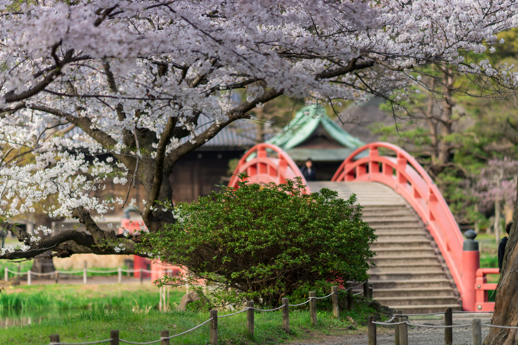 2024 春の称名寺
