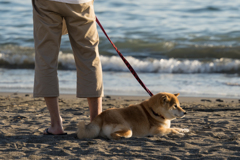 逗子海岸スナップ