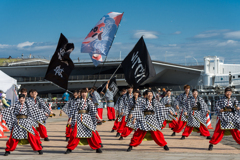 横浜よさこい祭り2023