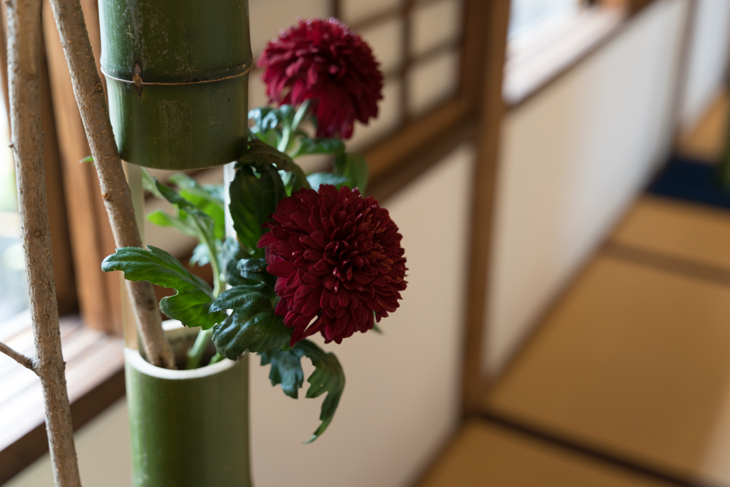 旧伊藤博文金沢別邸　花と博文邸