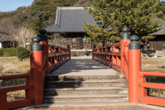 金沢文庫　称名寺