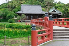 春の称名寺