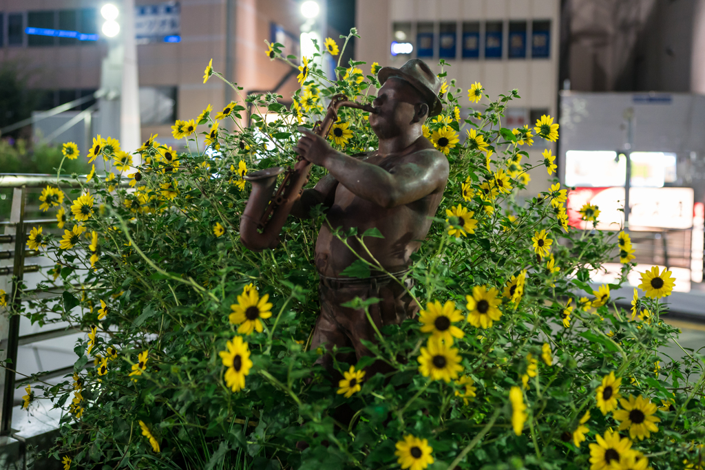 横須賀、夜スナップ