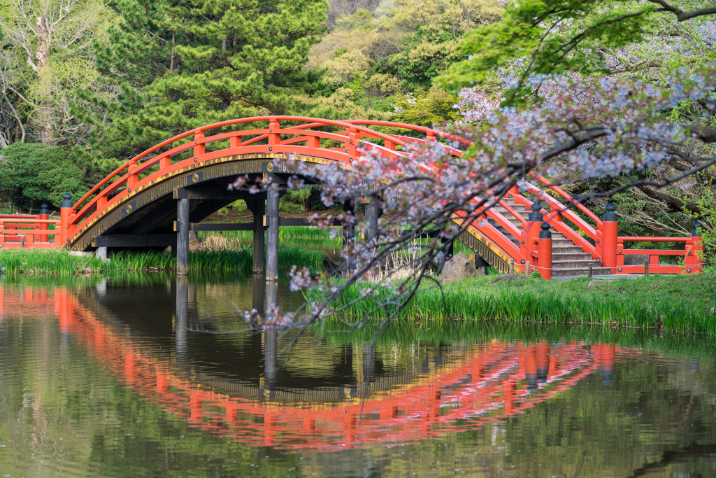 2023年　春の称名寺