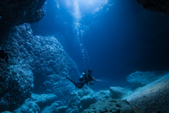 インディケーブ