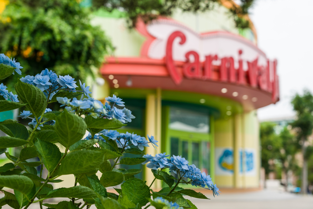八景島あじさい祭り2023