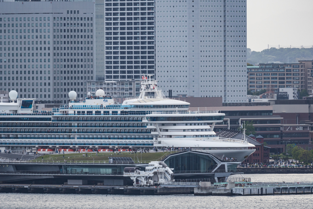 ダイヤモンド・プリンセス