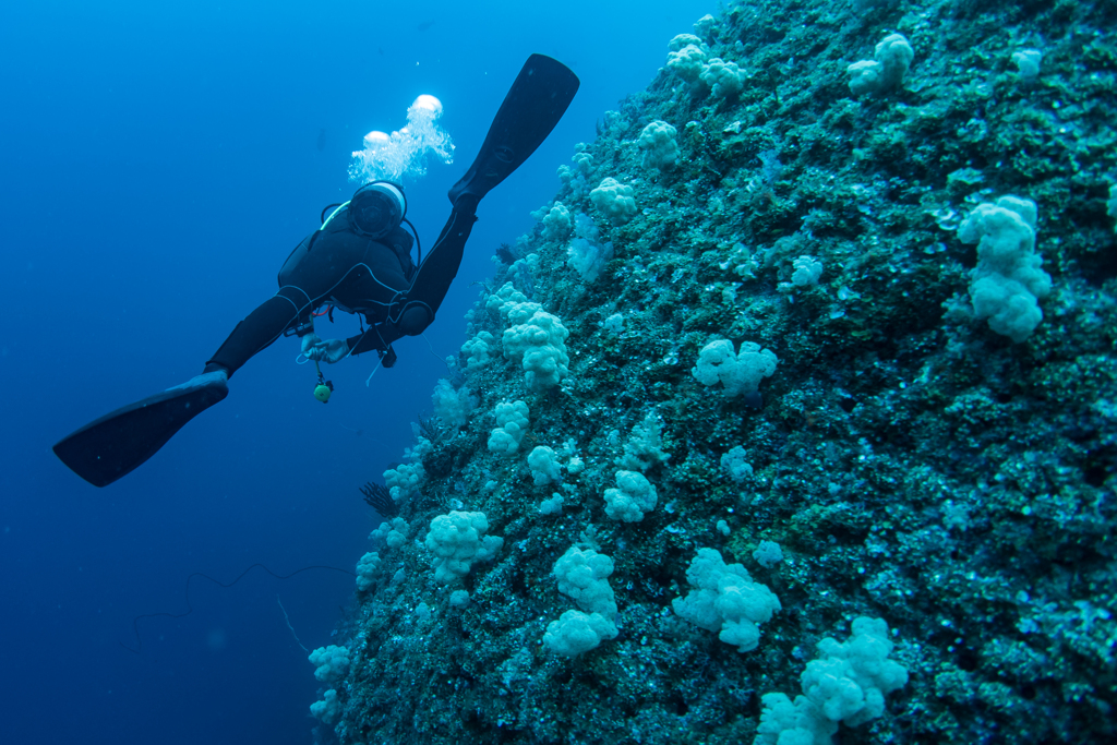 下地島ダイビング