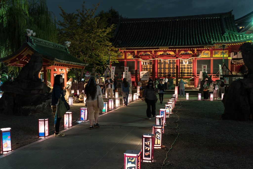 浅草燈籠祭