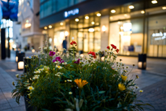 元町商店街（28-45mm F1.8 DG DN試写）