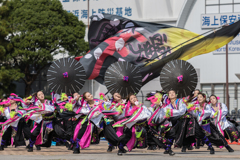 横浜よさこい祭り 2022