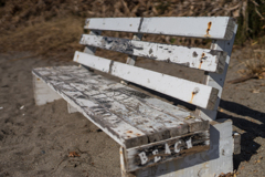 秋谷海岸スナップ