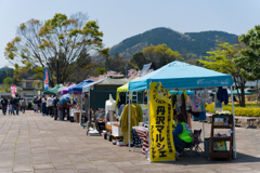 春の戸川公園