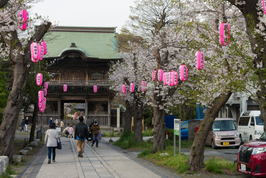 2024 春の称名寺