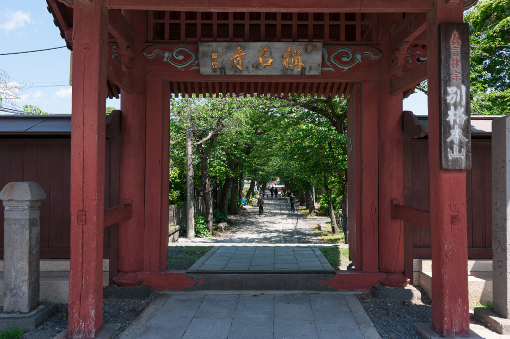 春の称名寺