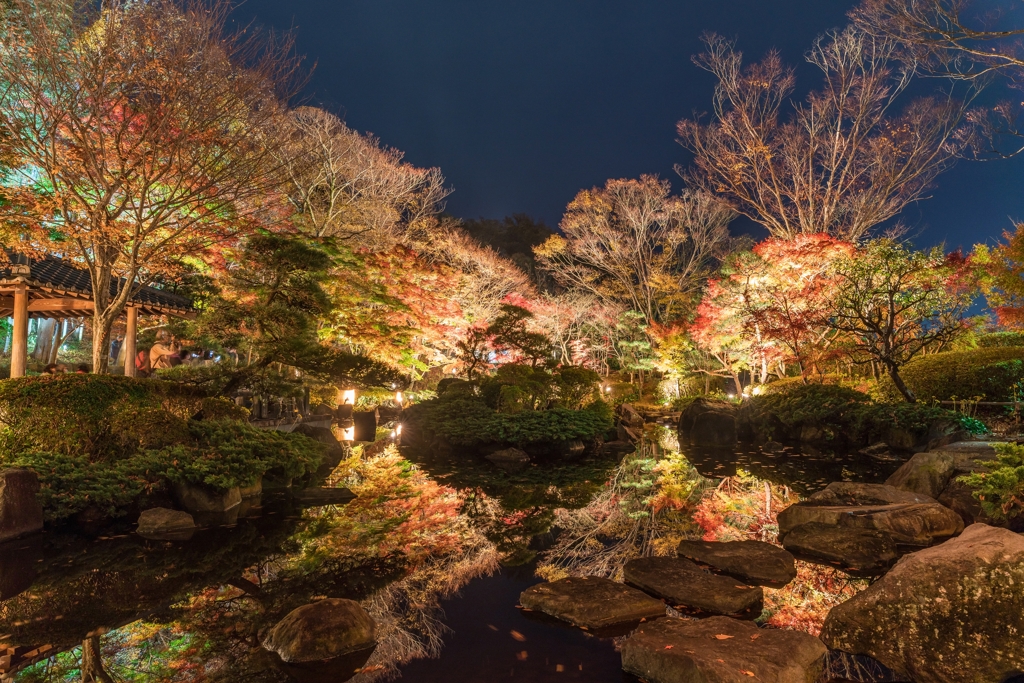 大磯城山公園　紅葉ライトアップ