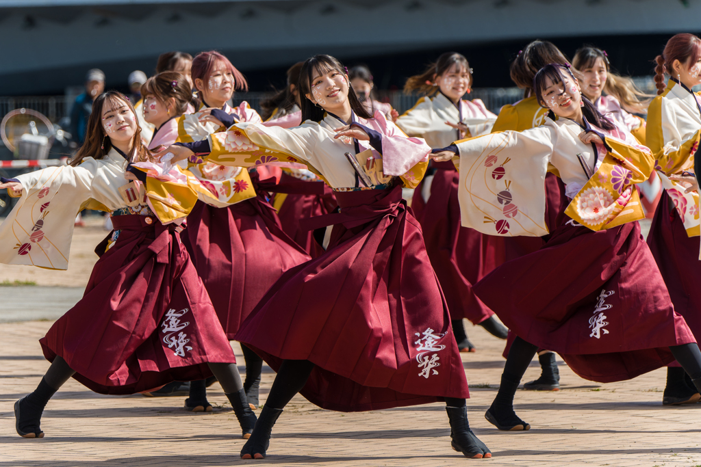 横浜よさこい祭り2023