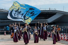 横浜よさこい祭り2023
