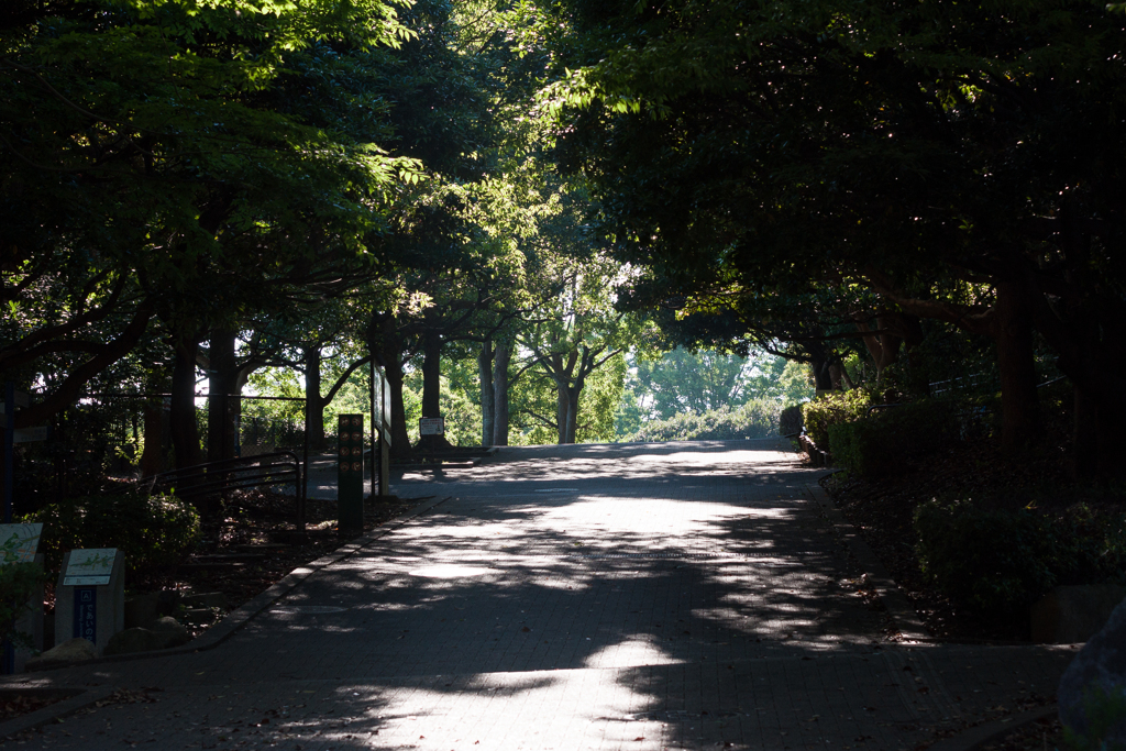 本牧山頂公園