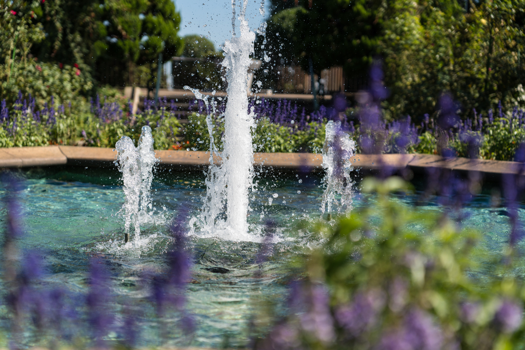 港の見える丘公園 スナップ