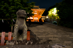 鎌倉　鶴岡八幡宮　夜スナップ