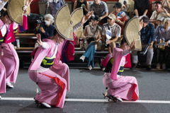 第65回 東京高円寺阿波おどり