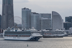 ダイヤモンド・プリンセス