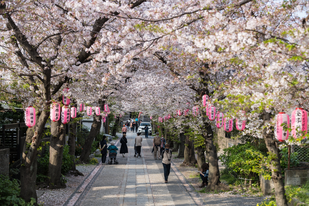 2023年　春の称名寺