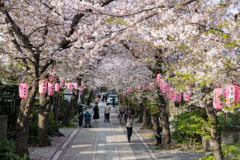 2023年　春の称名寺