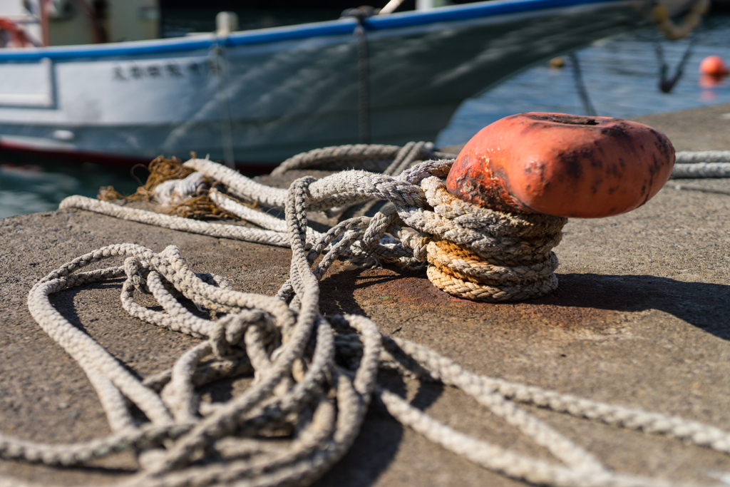 秋谷漁港スナップ