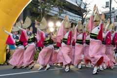 第64回 東京高円寺阿波おどり